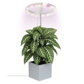 LED regulējamā iekštelpu lampa augu audzēšanai GROW LED/8W/5V