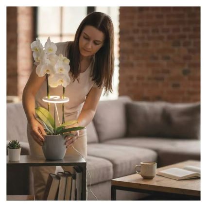 LED regulējamā iekštelpu lampa augu audzēšanai GROW LED/8W/5V