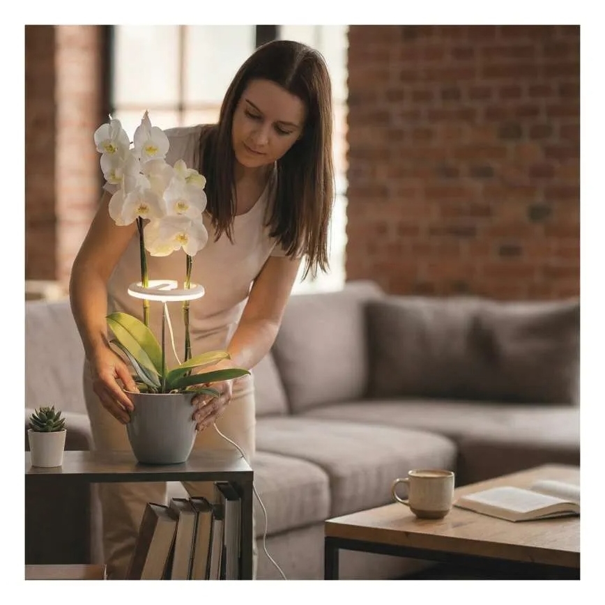 LED regulējamā iekštelpu lampa augu audzēšanai GROW LED/8W/5V