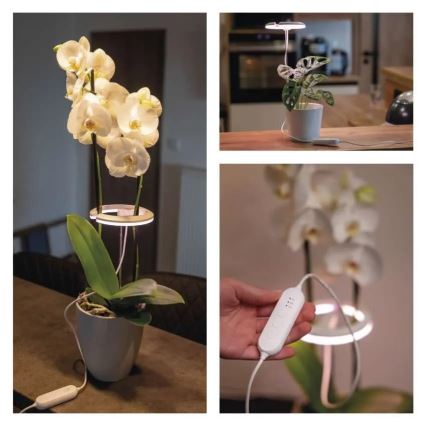 LED regulējamā iekštelpu lampa augu audzēšanai GROW LED/8W/5V