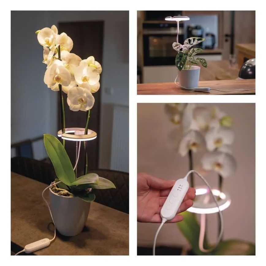 LED regulējamā iekštelpu lampa augu audzēšanai GROW LED/8W/5V