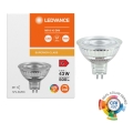 LED regulējamā reflektora spuldze MR16 GU5,3/6,6W/12V 4000K 36° CRI 97 - Ledvance