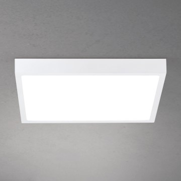 LED regulējamais griestu gaismeklis DISC LED/30W/230V 2700/3000/4000K 39x39 cm balts