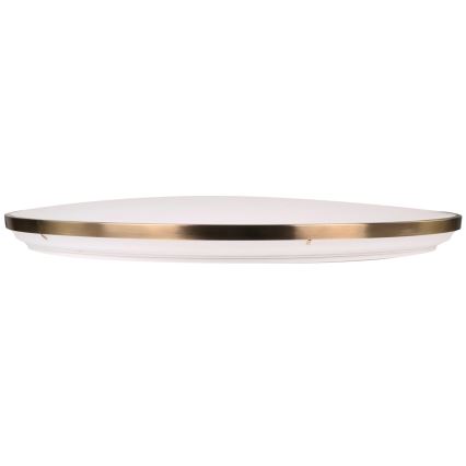 Regulējama LED griestu lampa KERN LED/80W/230V 3000/4000/6000K diam. 80 cm zeltaina + tālvadība