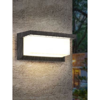 LED dimējams āra sienas gaismeklis NEELY 1xE27/6W/230V 2700-6500K IP54 antracīts