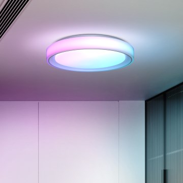 LED RGB Aptumšojama griestu lampa FLOCO LED/30W/230V 3000-6500K + RGB/6W d. 40cm + tālvadības pults