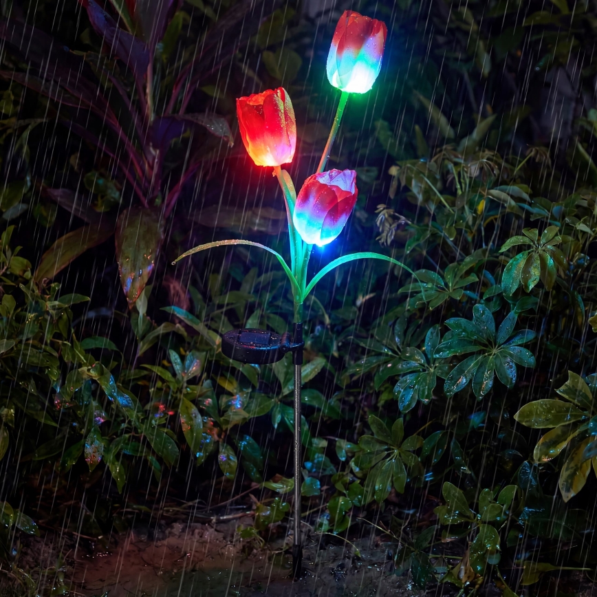 LED RGB saules dekoratīvais gaismeklis 3xLED/3,7V 200 mAh IP44 tulpe