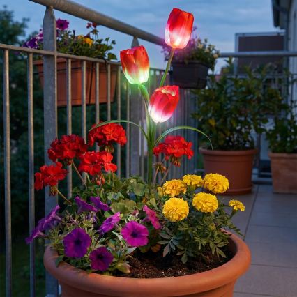 LED RGB saules dekoratīvais gaismeklis 3xLED/3,7V 200 mAh IP44 tulpe