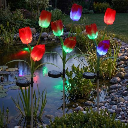 LED RGB saules dekoratīvais gaismeklis 3xLED/3,7V 200 mAh IP44 tulpe