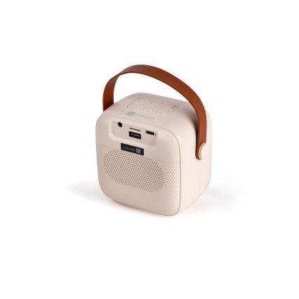 CONNECT IT CSP-1010-BG - LED RGB skaļrunis ar bezvadu mikrofoniem (2 mikrofoni), 5 W, 1200 mAh + 2 × 400 mAh, krēmkrāsā/zelta