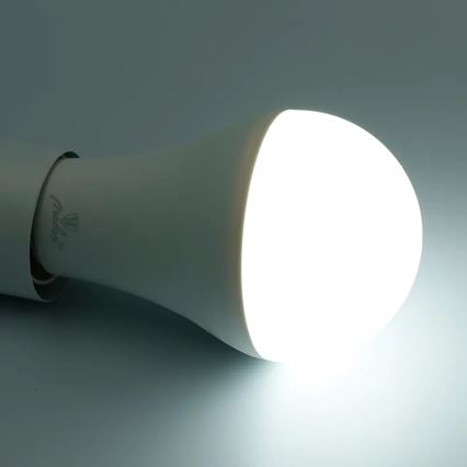 LED RGBW Aptumšojama spuldze A60 E27/15W/230V 2700-6500K Wi-Fi Tuya