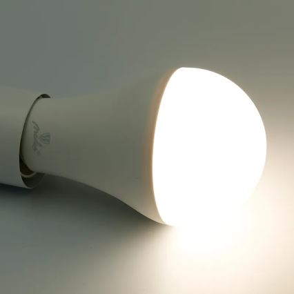 LED RGBW Aptumšojama spuldze A60 E27/15W/230V 2700-6500K Wi-Fi Tuya