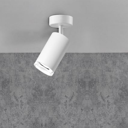 LED RGBW aptumšojams vannas istabas spota gaismeklis TURYN 1xGU10/4,8W/230V 3000K IP44 balta + tālvadība