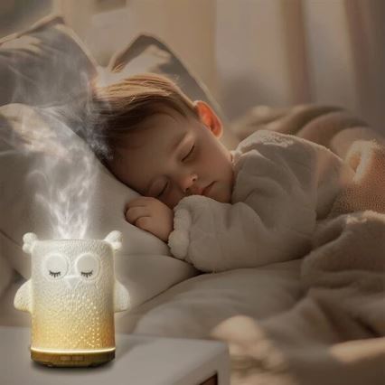 LED RGBW Aroma difuzors LED/8W/230V 100 ml pūce