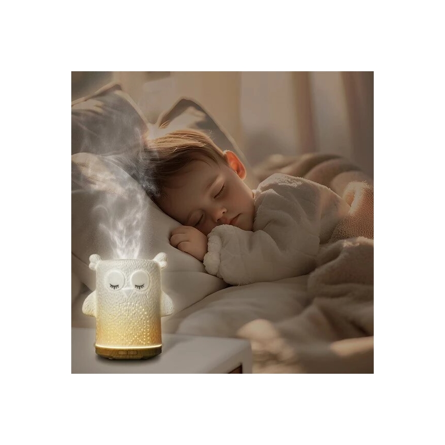 LED RGBW Aroma difuzors LED/8W/230V 100 ml pūce