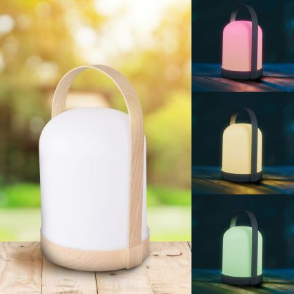 LED RGBW dekoratīvā galda lampa MINORKA LED/0,3W/4,5V 3xAA