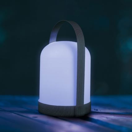 LED RGBW dekoratīvā galda lampa MINORKA LED/0,3W/4,5V 3xAA