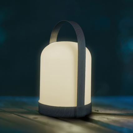 LED RGBW dekoratīvā galda lampa MINORKA LED/0,3W/4,5V 3xAA