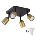 LED RGBW dimējams virziena gaismeklis TOP 4xGU10/6,5W/230V 2700-6500K zeltaina/melna
