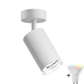 LED RGBW Regulējama vannas istabas spot gaisma TURYN 1xGU10/6,5W/230V 2700-6500K Wi-Fi IP44 balta