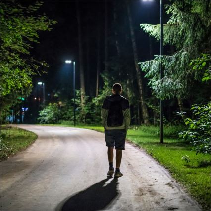 LED regulējama saules ielas lampa ar sensoru URBI LED/11W/3,2V 6500K 15000 mAh IP54 + tālvadība