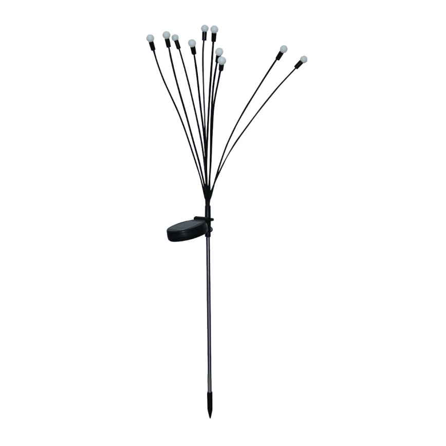 LED Saules enerģijas dekoratīva lampa 10xLED/1,2V 3000K 73 cm IP44
