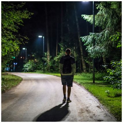 LED Aptumšojama saules enerģijas iela lampa ar motion un dusk sensors URBI LED/8W/3,2V 6500K IP54 + tālvadības pults