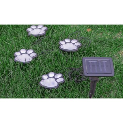 LED Saules enerģijas lampa LED/0,14W/2V IP44 paws