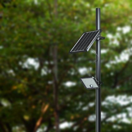 LED Saules enerģijas prožektors ar sensoru LED/30W/6,4V 6400K 6000 mAh + tālvadības pults