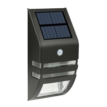 LED Saules enerģijas sienas gaismeklis ar sensoru LED/3,7V IP44 melns