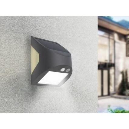 Saules LED sienas gaismeklis ar sensoru, 3 W, 3,7 V, 3000/4000 K, 1200 mAh, IP54, antracīts
