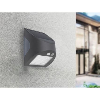 Saules LED sienas gaismeklis ar sensoru, 3 W, 3,7 V, 3000/4000 K, 1200 mAh, IP54, antracīts