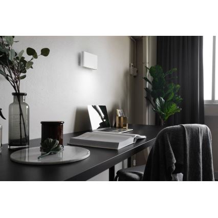 LED Sienas gaismeklis CARLI 2xLED/10W/230V