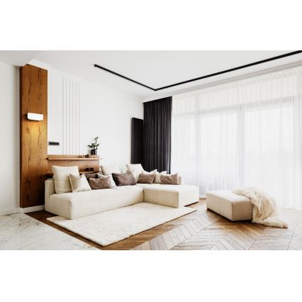 LED Sienas gaismeklis LANDER LED10W/230V