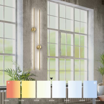 LED sienas lampa LANA LED/12W/230V 4000K matēta zelta