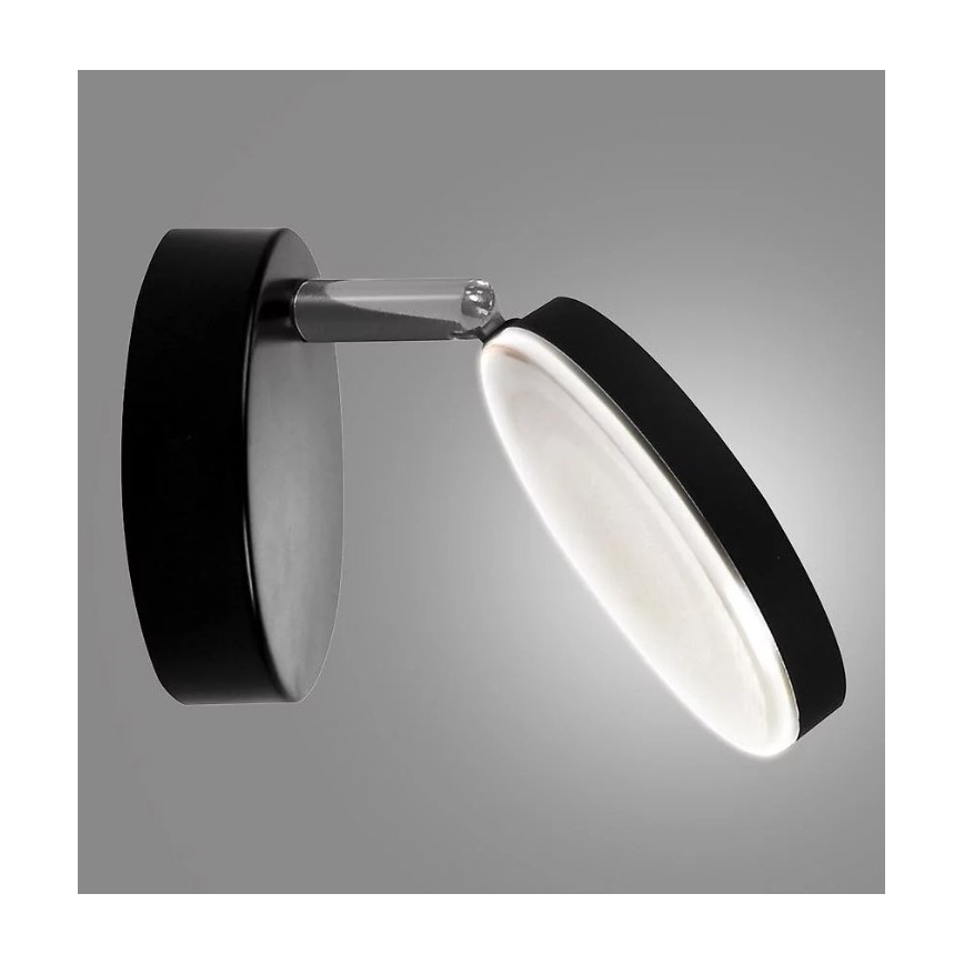 LED Sienas starmetis CAPRI LED/5W/230V