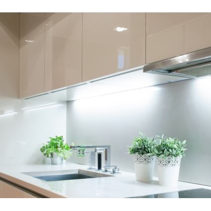 LED sloksne TRAMO LED/500W/12V 50m 6500K