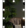 LED Spogulis ar lampu 9xLED/1W/230V 3000/4000/6000K 50x40 cm IP44