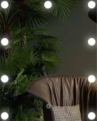LED Spogulis ar lampu 9xLED/1W/230V 3000/4000/6000K 50x40 cm IP44