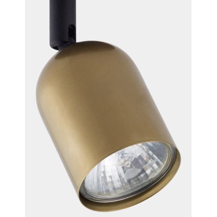 LED spot gaismeklis TOP 1xGU10/10W/230V zelta/melna