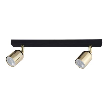 LED spot gaismeklis TOP 2xGU10/10W/230V melns/zelts