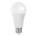 LED Spuldze A60 E27/21W/230V 6500K - Aigostar