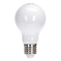 LED spuldze A60 E27/8W/230V 330° 6500K - Aigostar