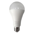 LED Spuldze A65 E27/18W/230V 4200K
