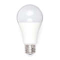 LED spuldze A80 E27/18W/230V 3000K