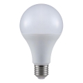 LED Spuldze A80 E27/20W/230V 3000K