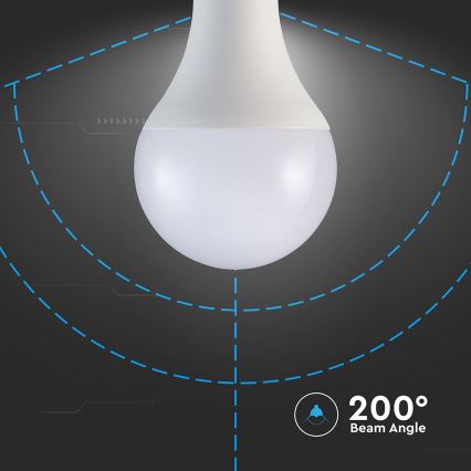 LED Spuldze A80 E27/20W/230V 3000K