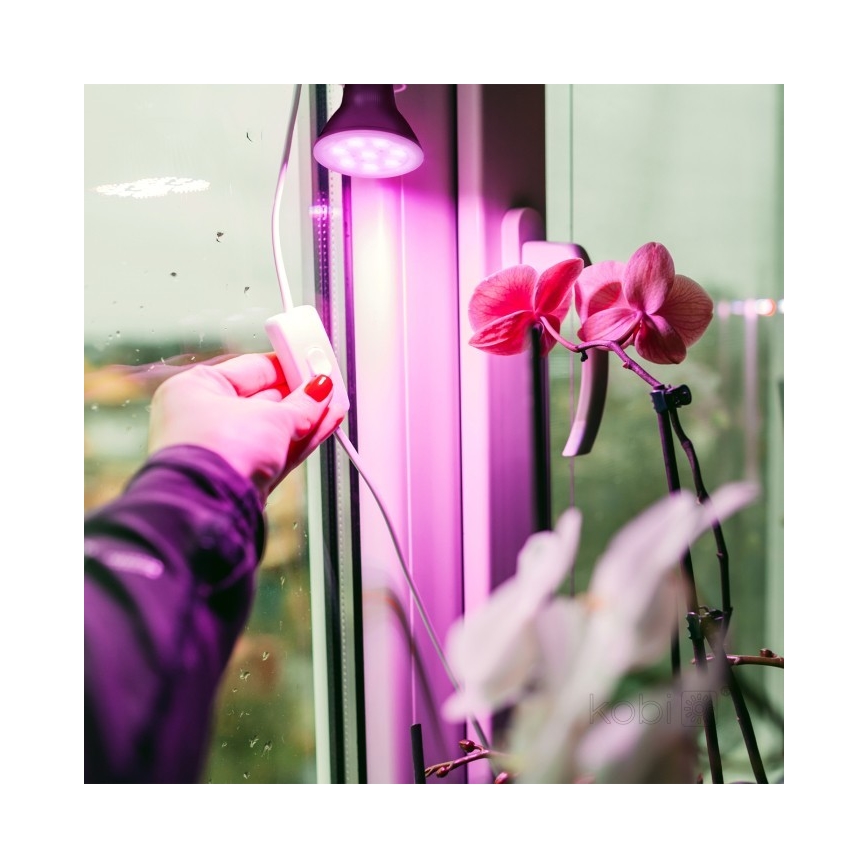 LED Spuldze augu augšanai PLANTY E27/7W/230V 1200K melna