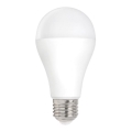 LED Spuldze E27/20W/230V 3000K