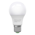 LED Spuldze ECOLINE A60 E27/10W/230V 3,000K - Brilagi